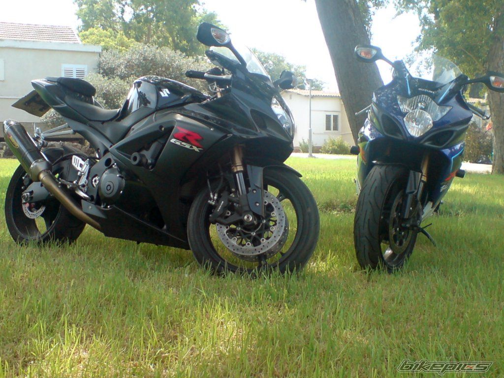 Photo 1405905