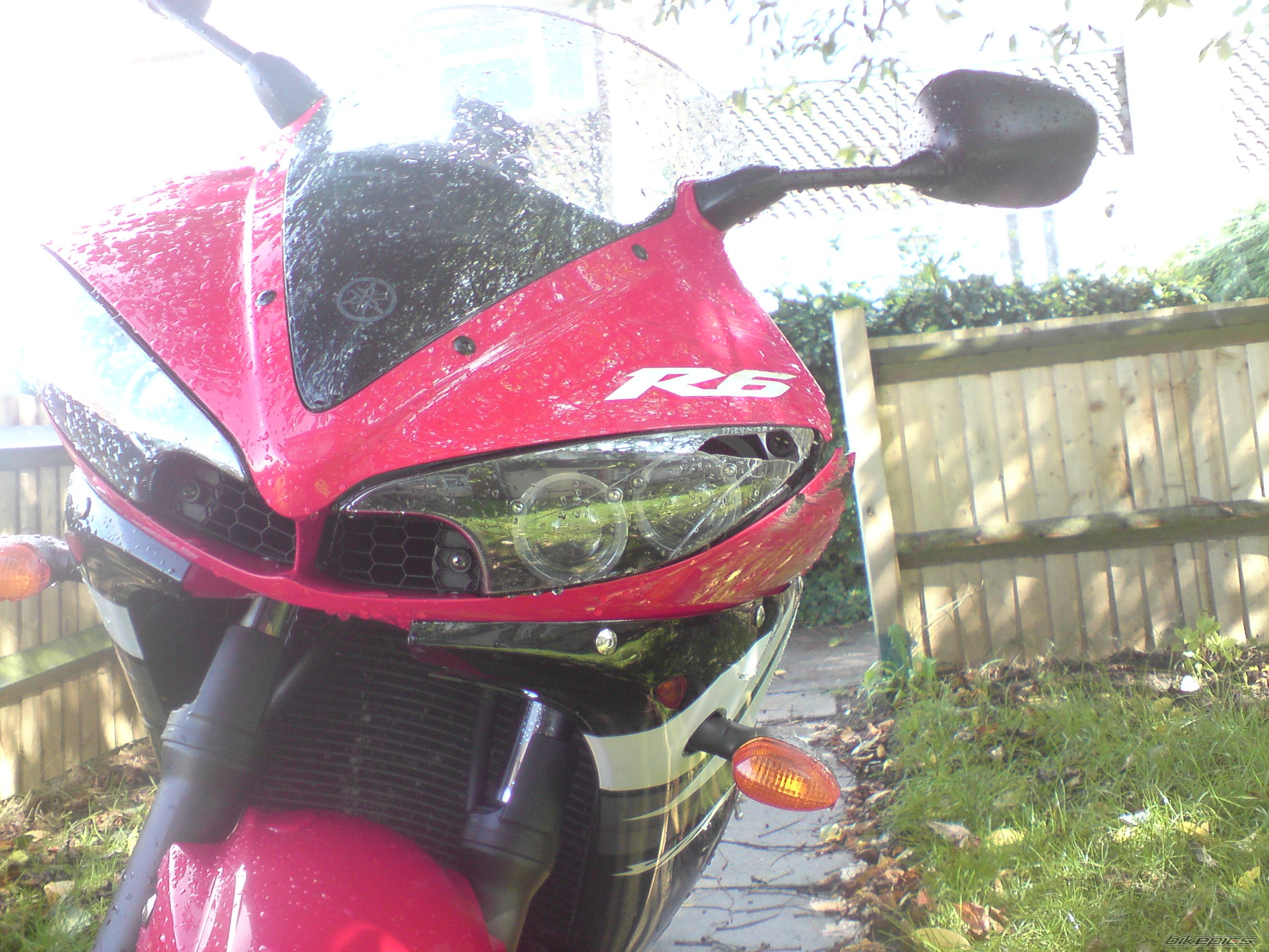 Photo 1405909