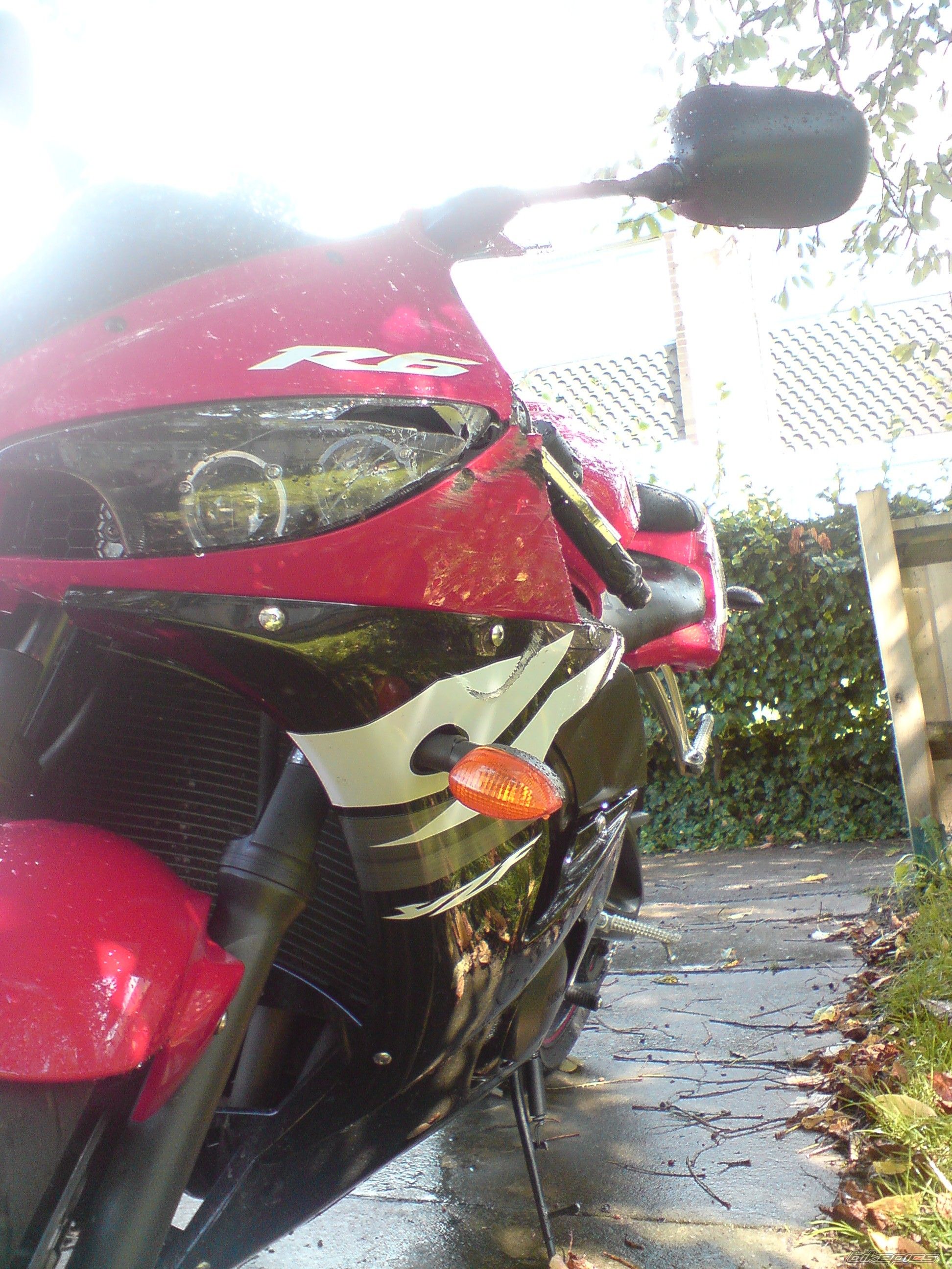 Photo 1405915