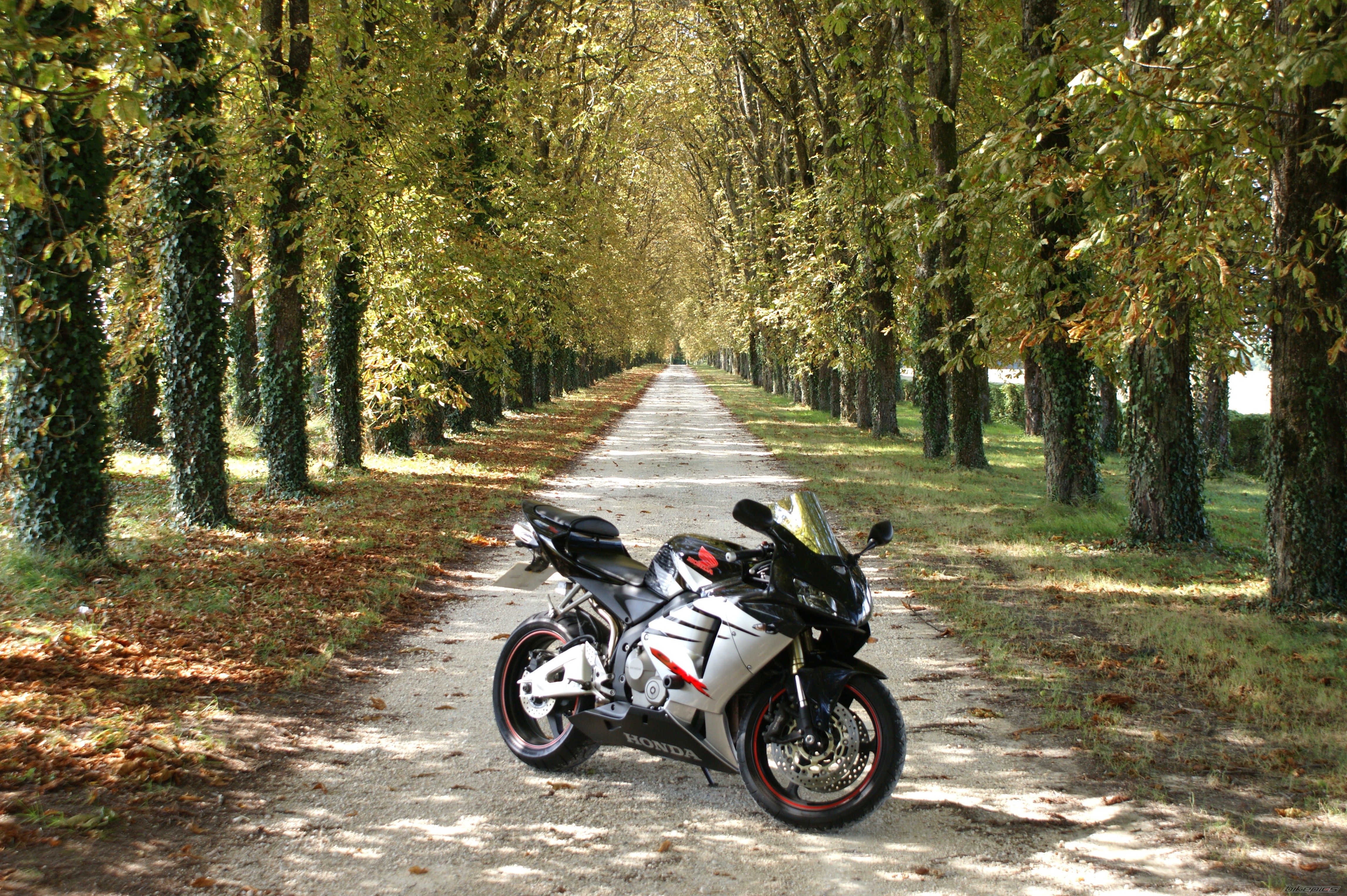 Bike Photo 1405919