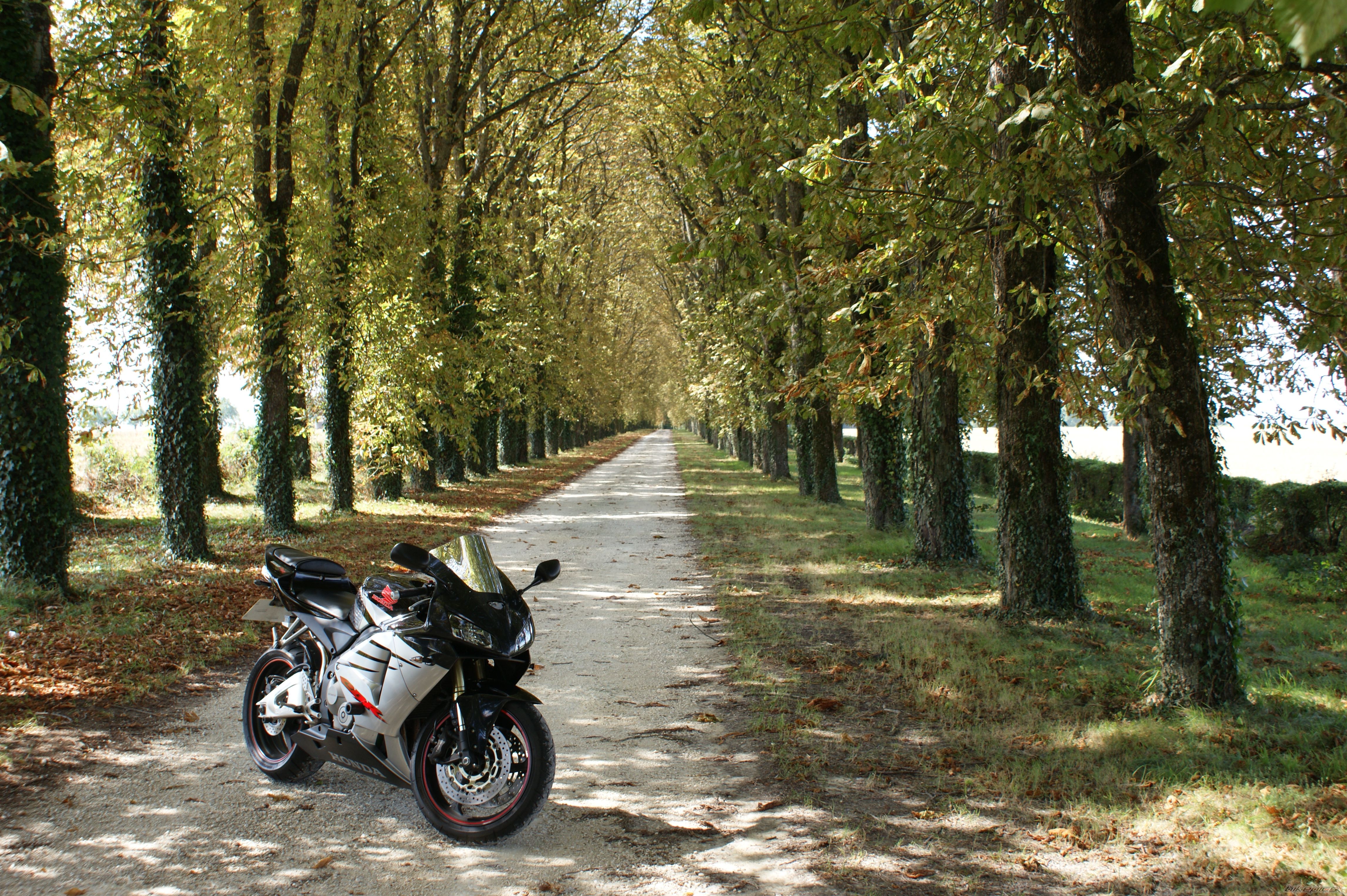 Bike Photo 1405922