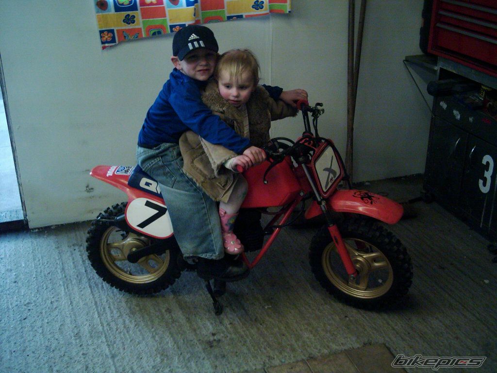 Photo 1405940