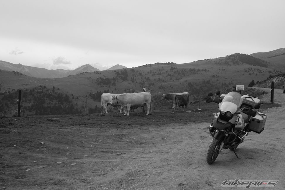 Bike Photo 1405976
