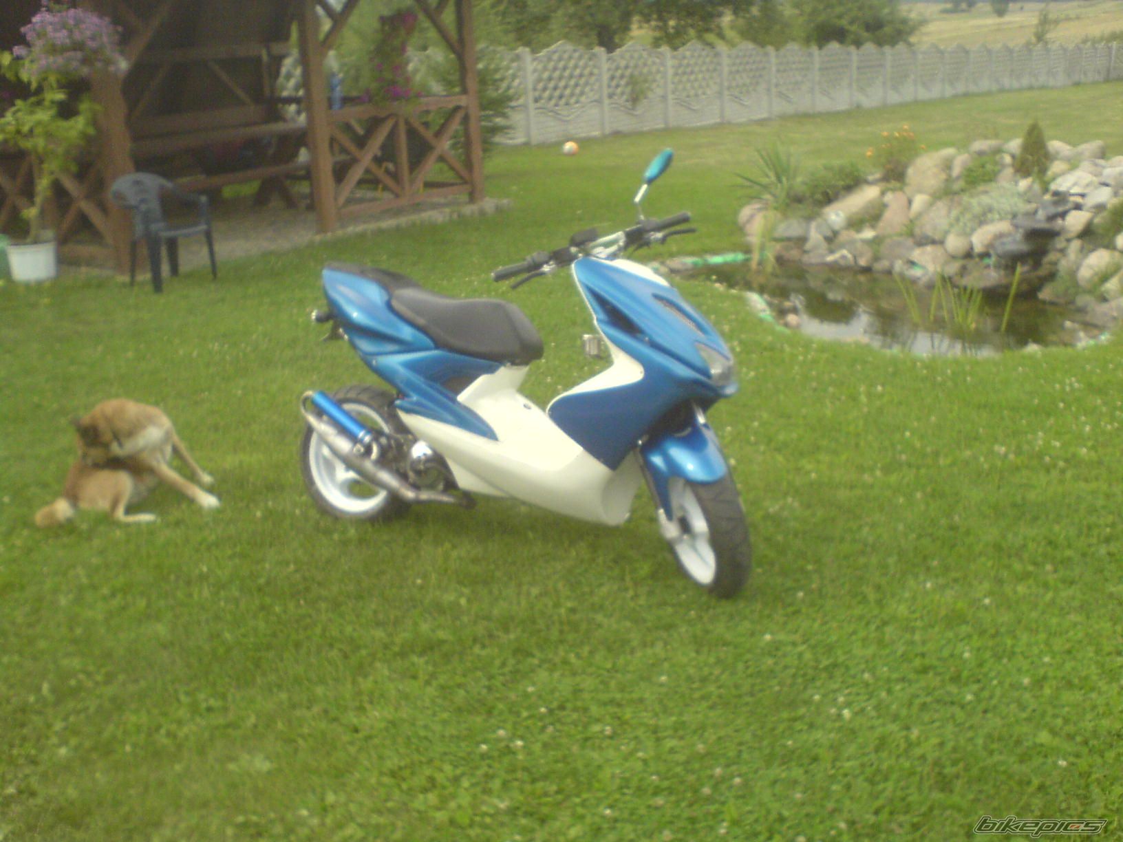 Photo 1406012