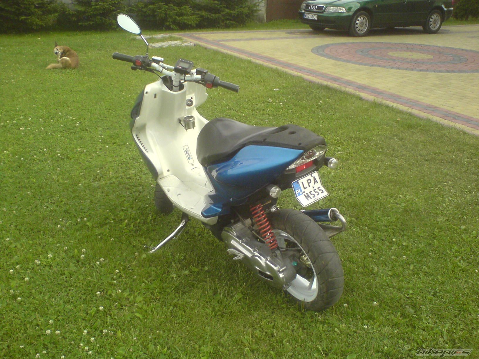 Photo 1406021