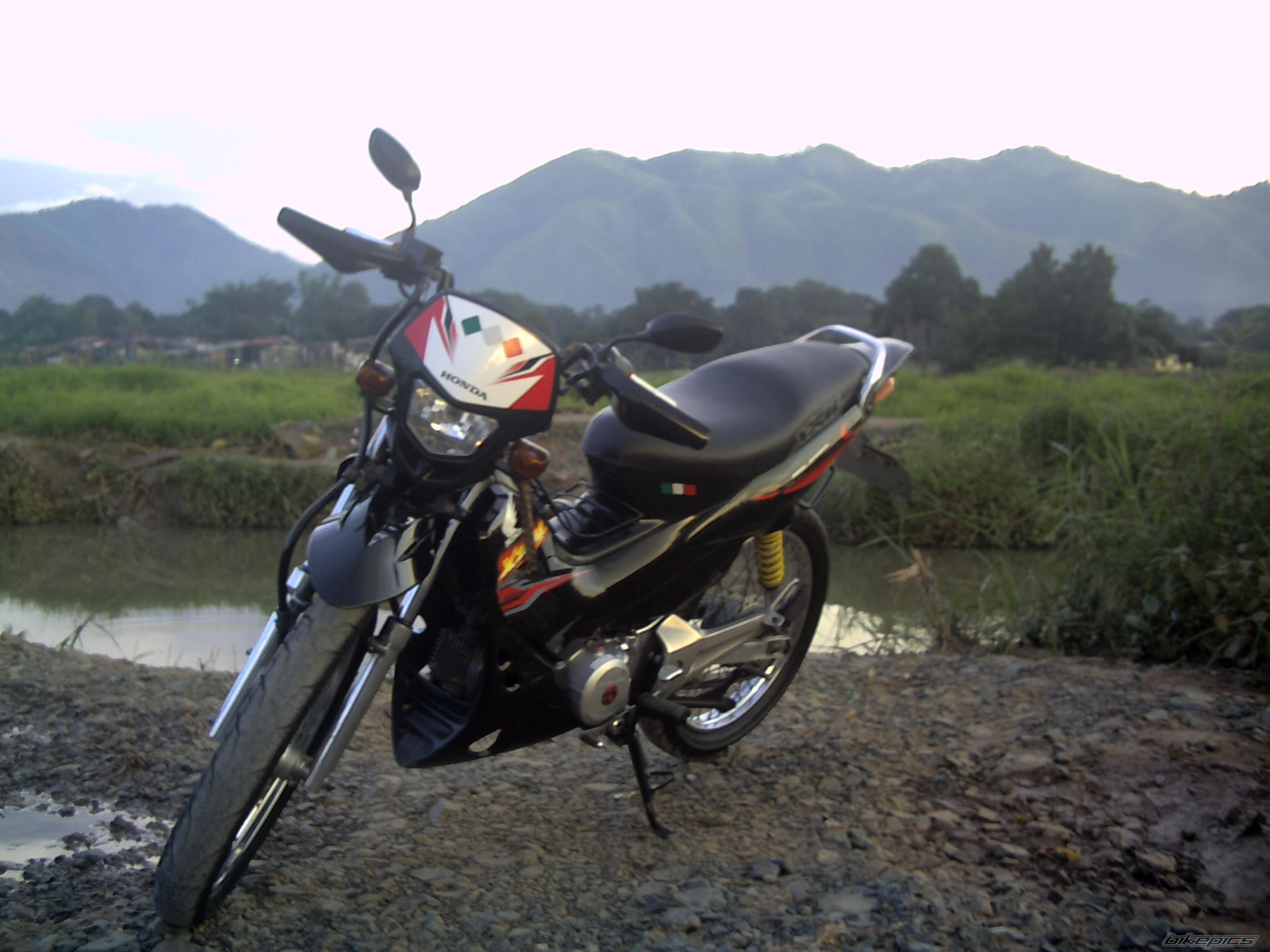Photo 1406137