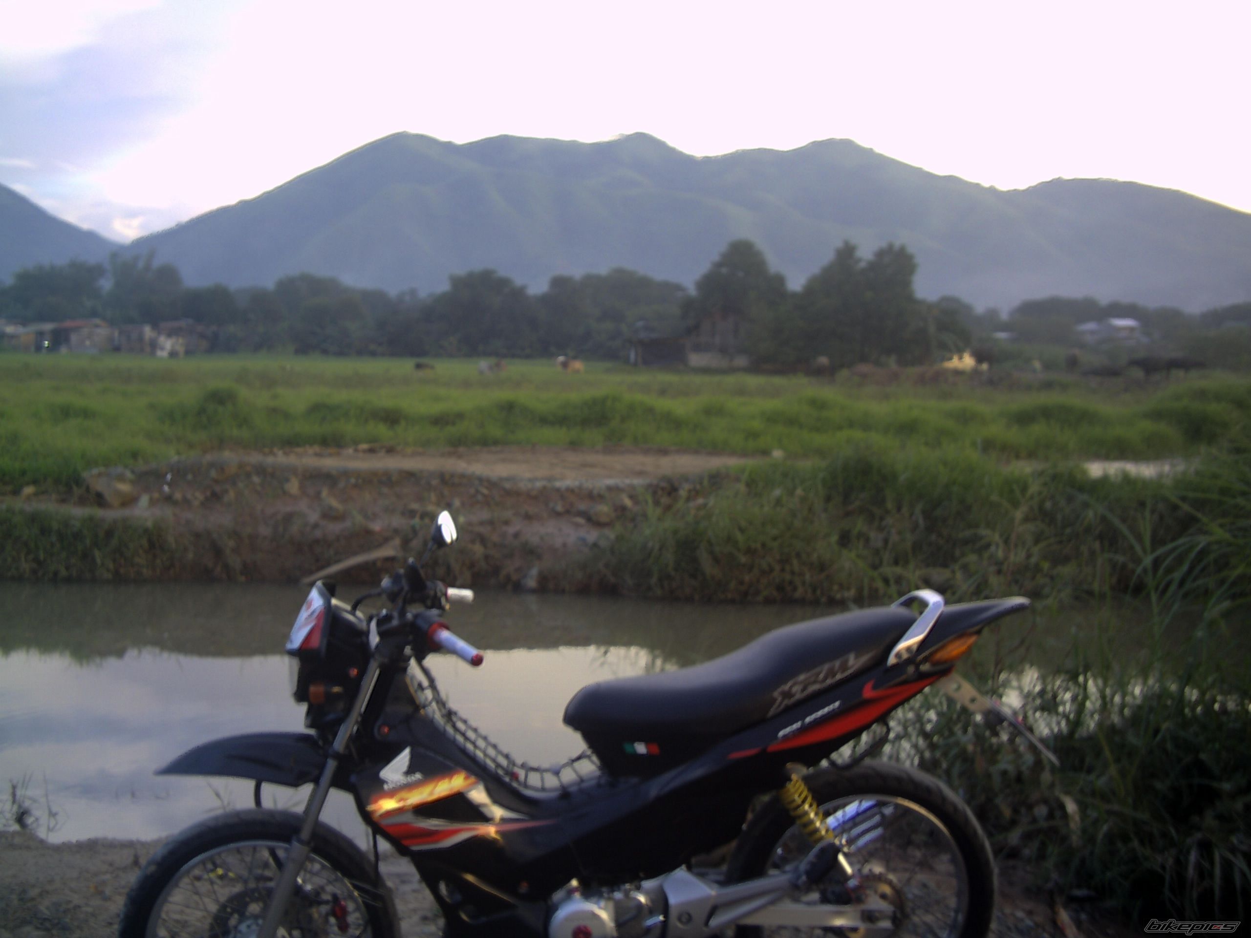 Photo 1406141