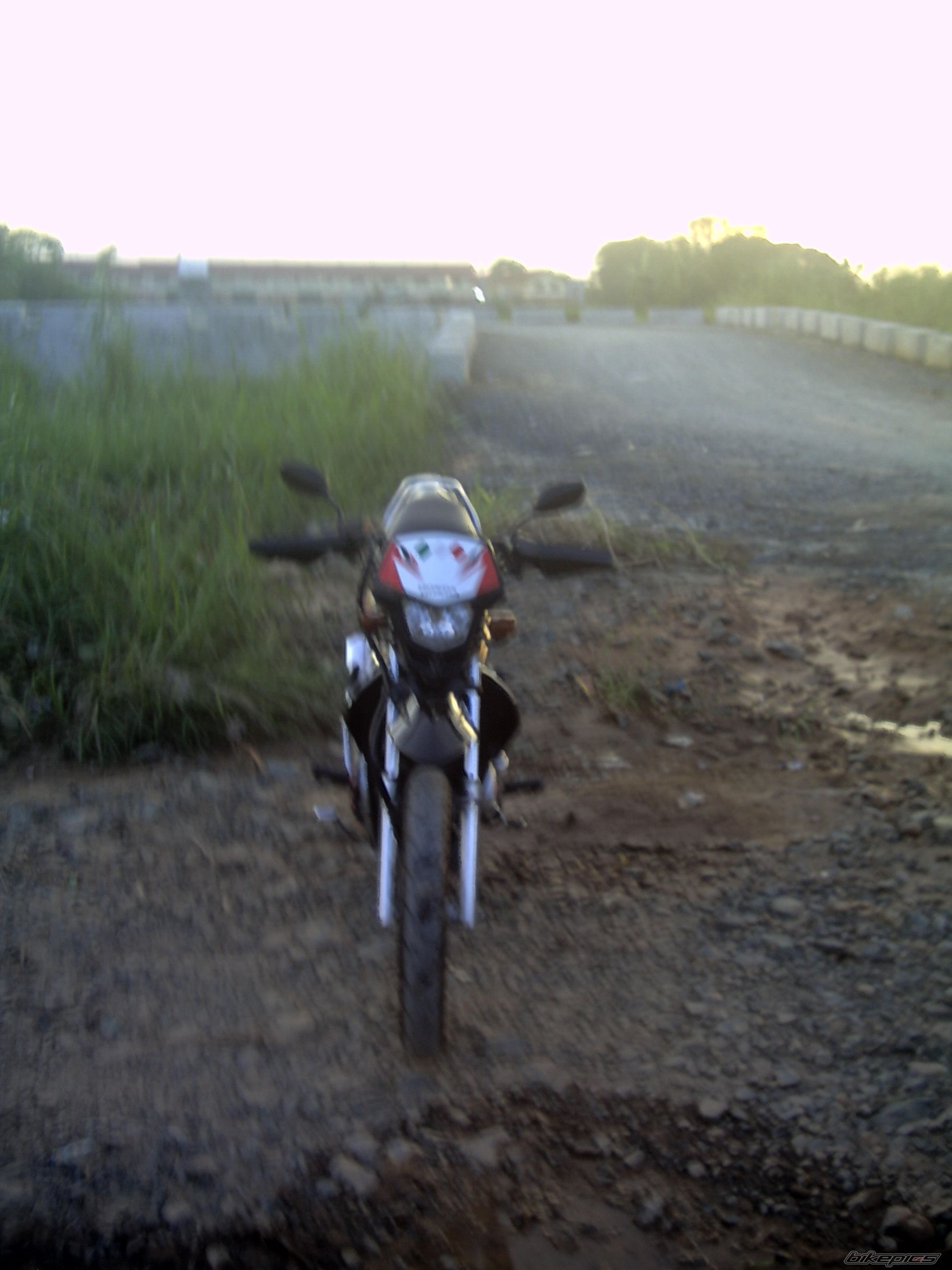Photo 1406195
