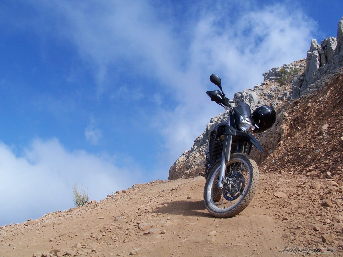 Bike Photo 1406346