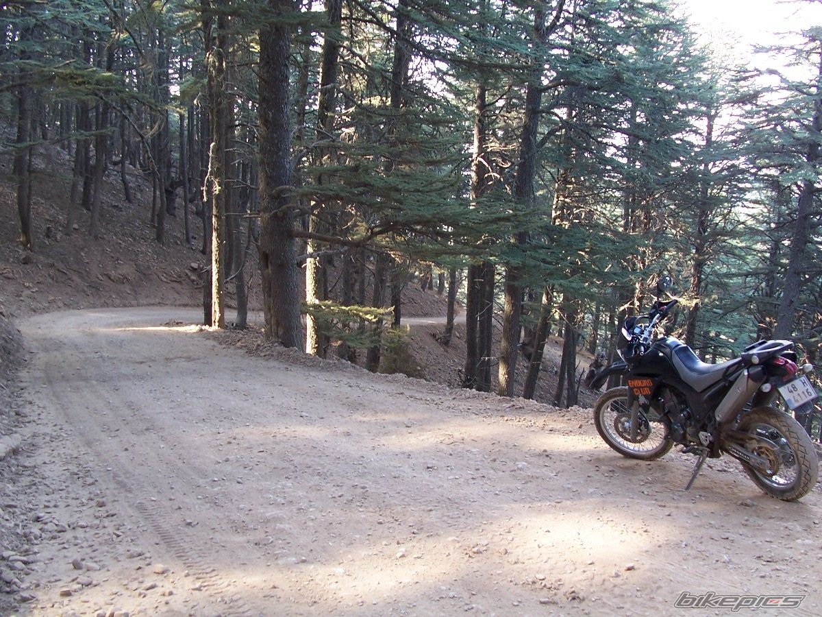 Bike Photo 1406354