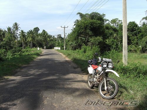 Photo 1406458