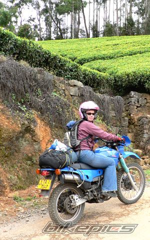 Bike Photo 1406472