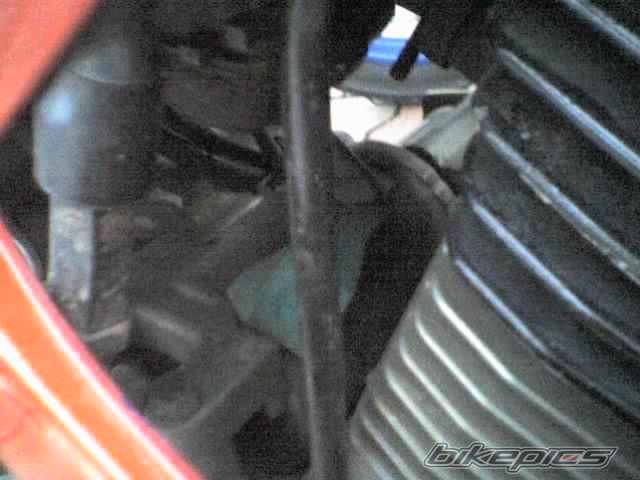 Photo 1406620