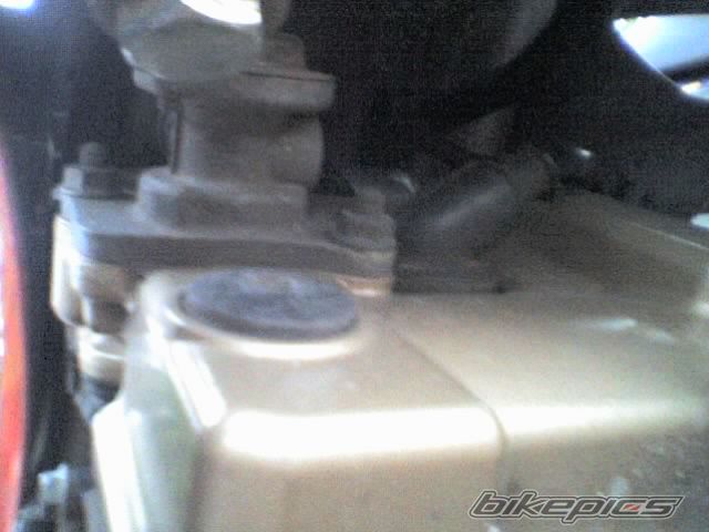 Photo 1406621