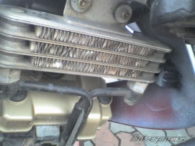 Photo 1406622