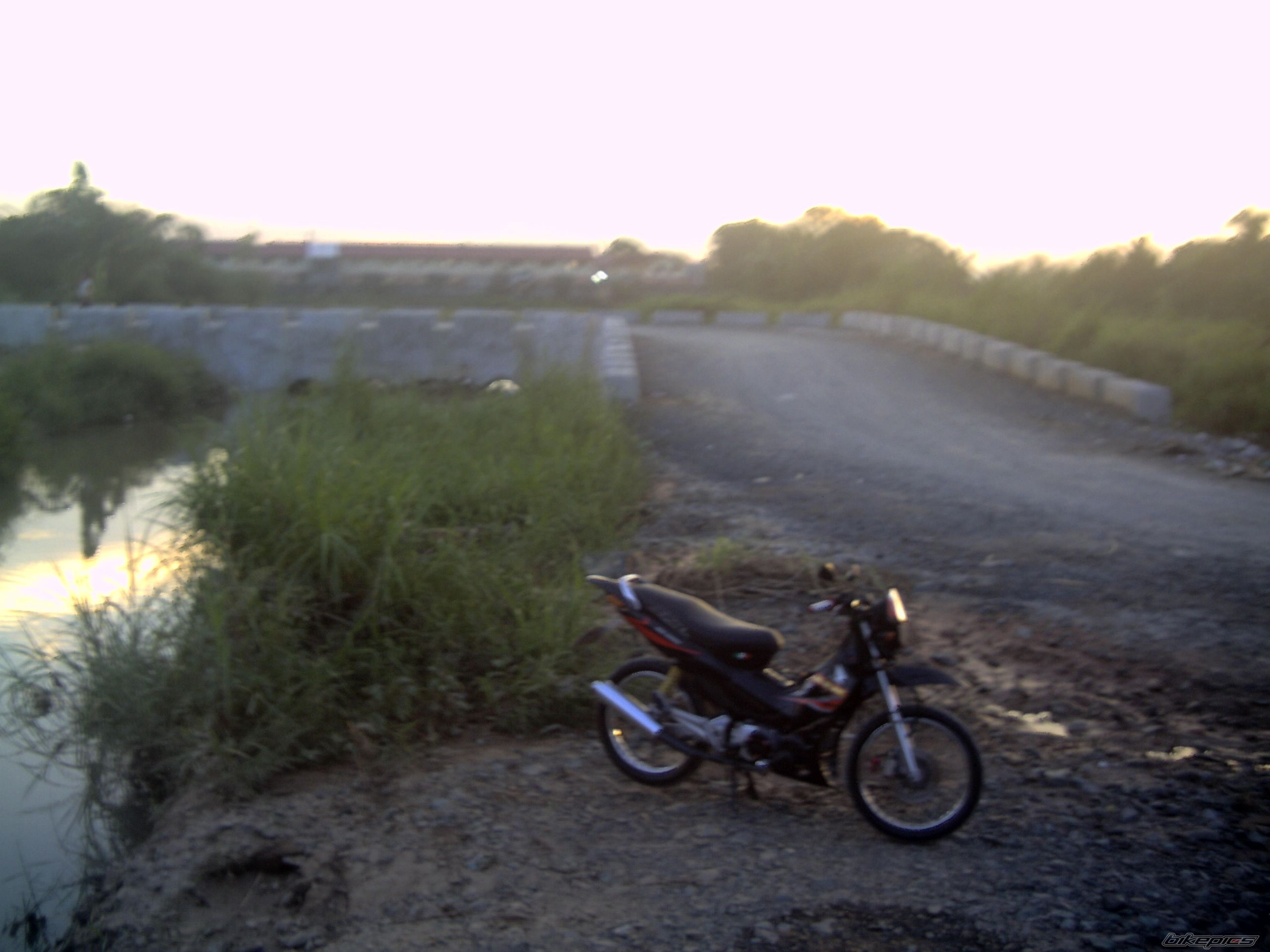 Photo 1406647