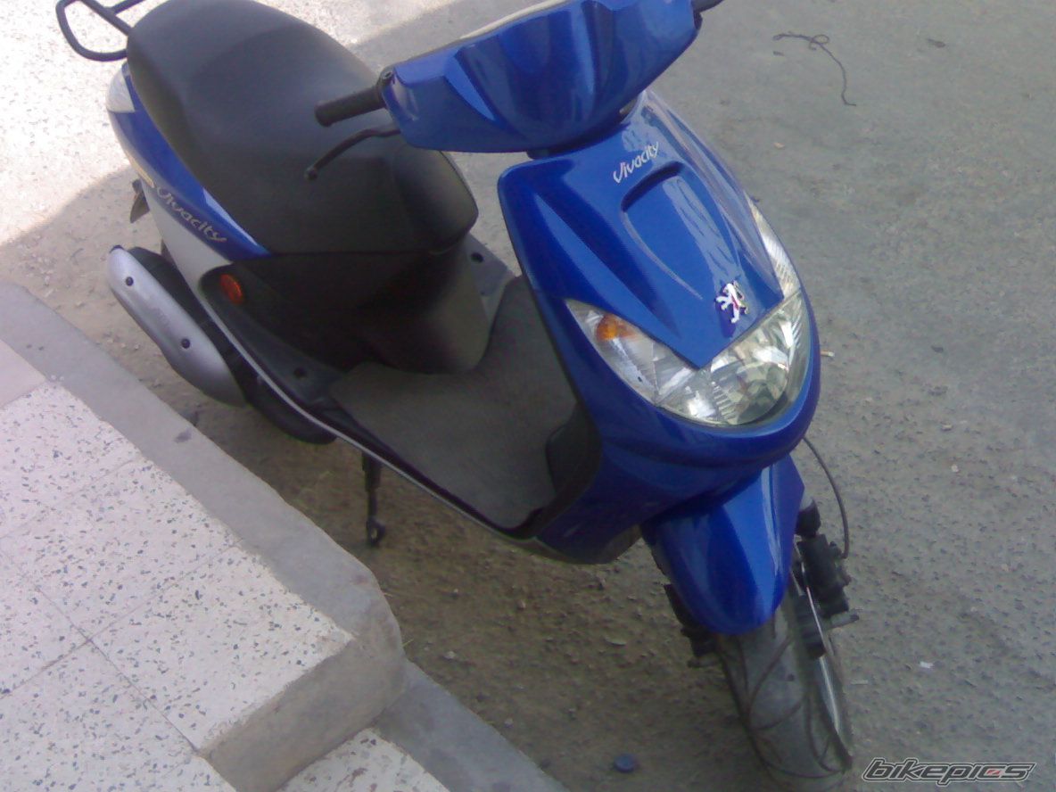 Photo 1406867