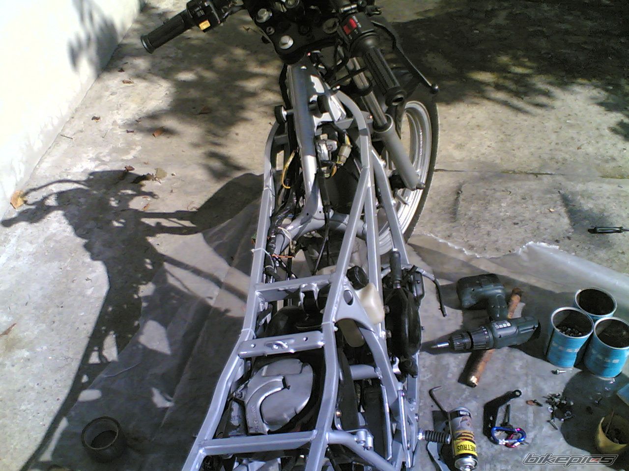 Photo 1406895