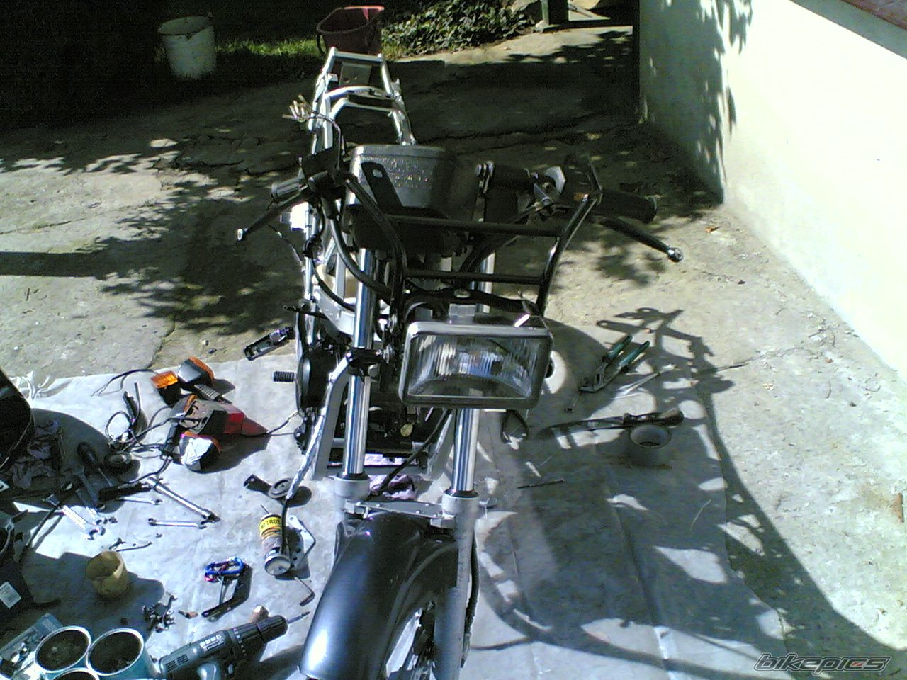 Photo 1406897