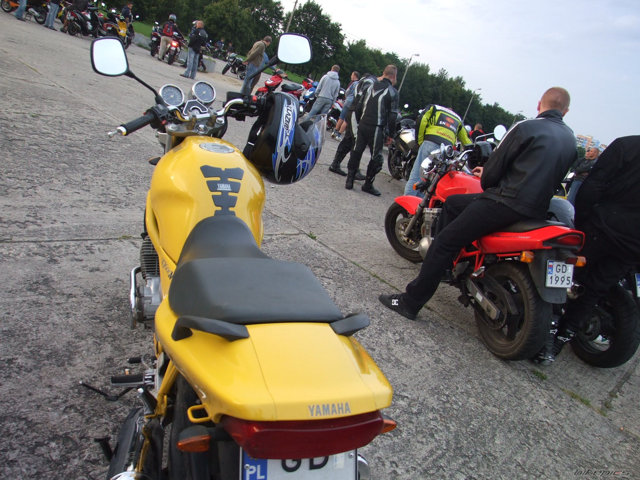 Photo 1406902