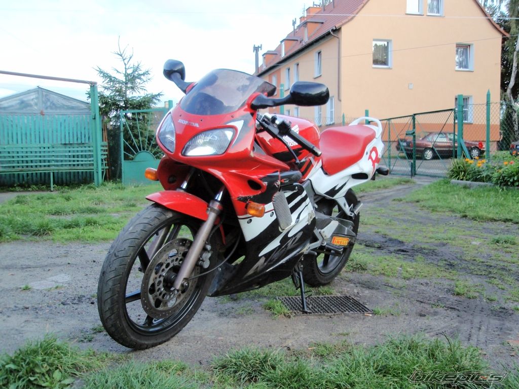 Photo 1406937