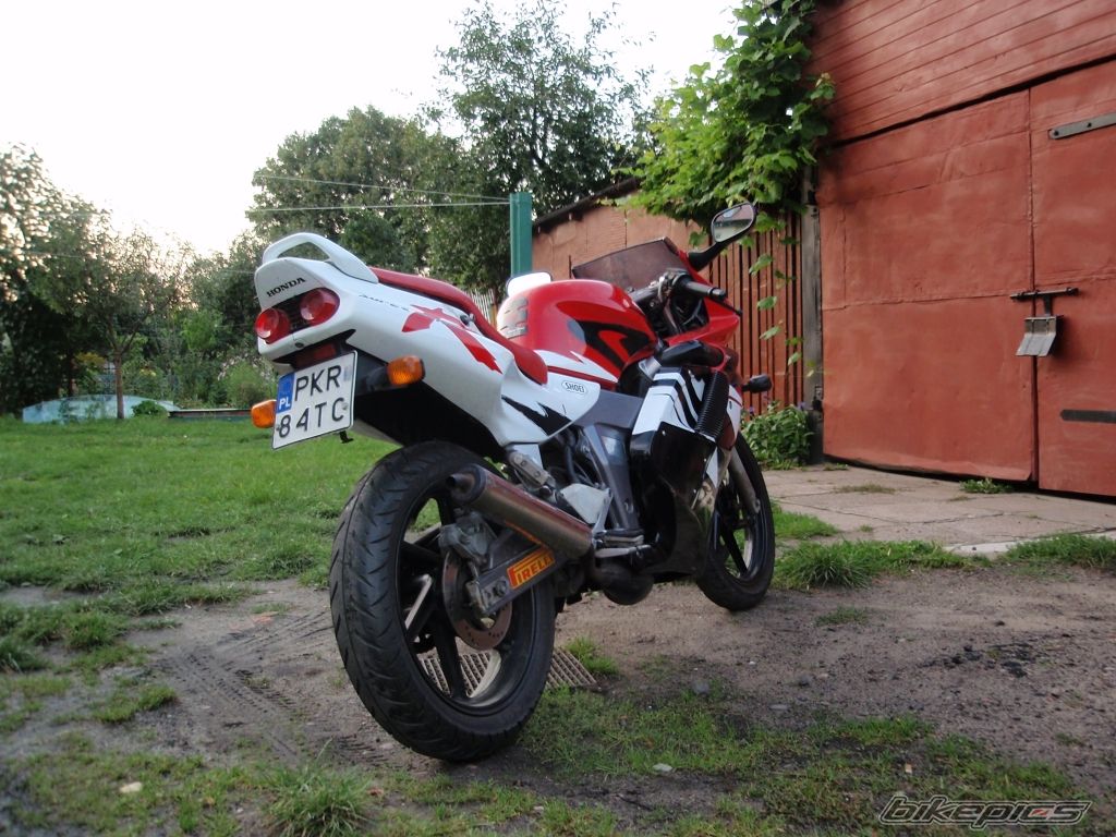 Photo 1406946