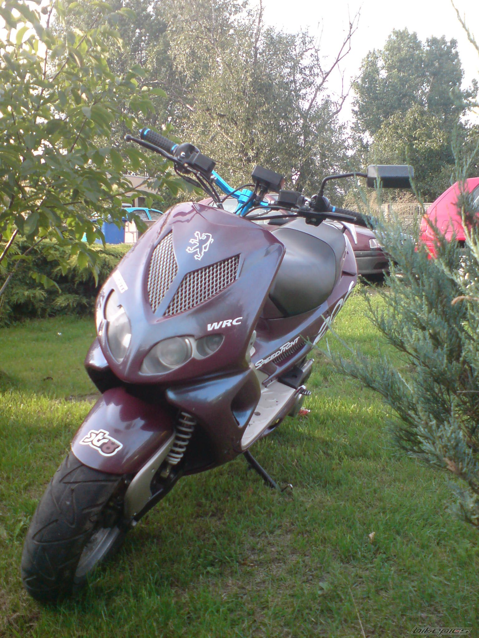 Photo 1407056