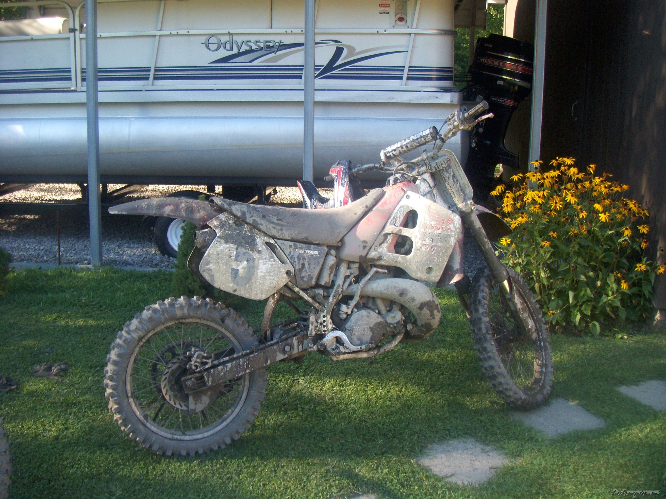 Photo 1407138