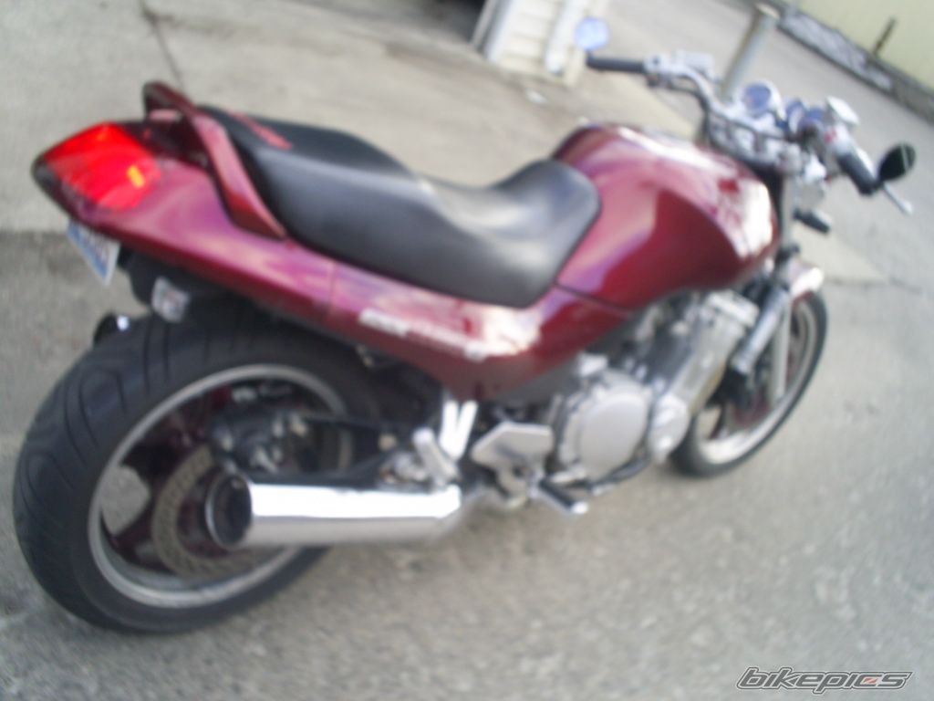 Photo 1407236