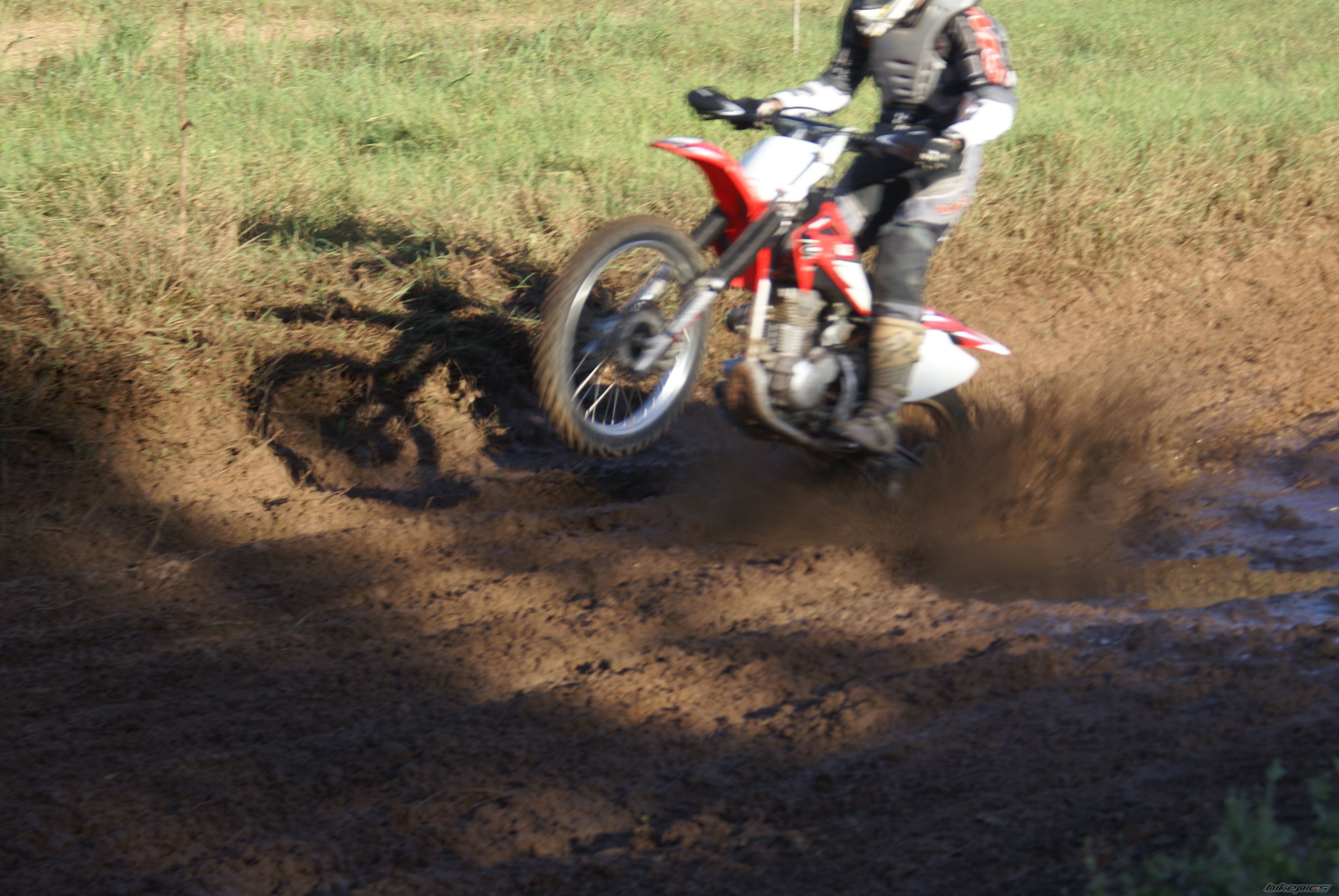 Photo 1407271