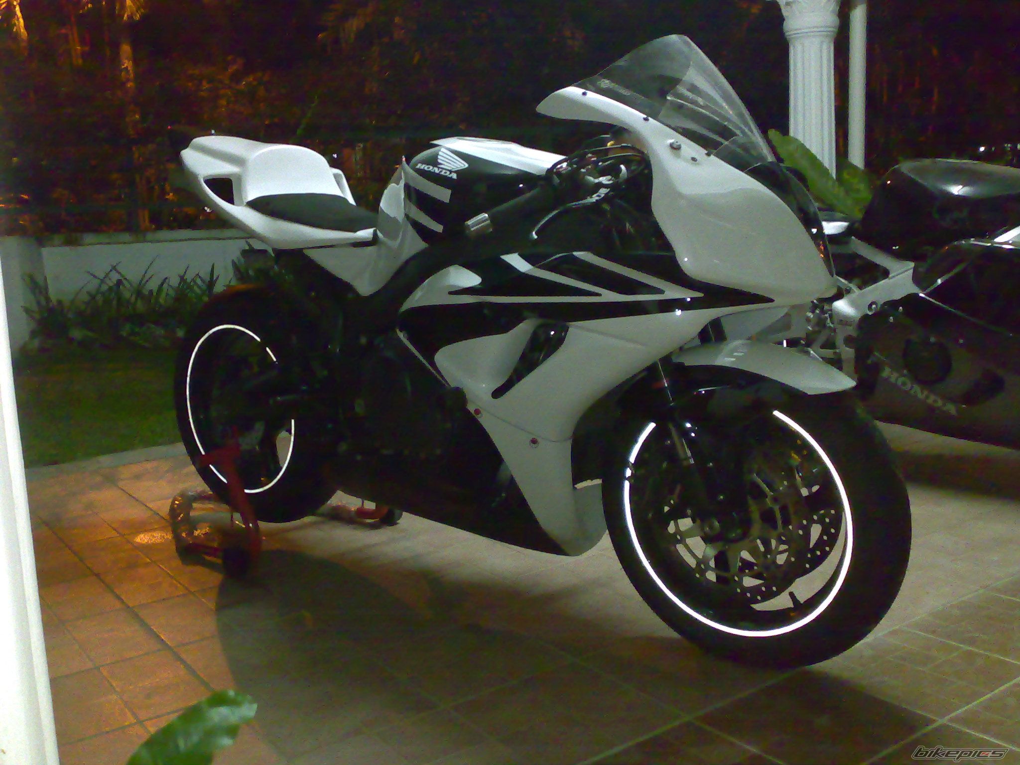 Photo 1407346