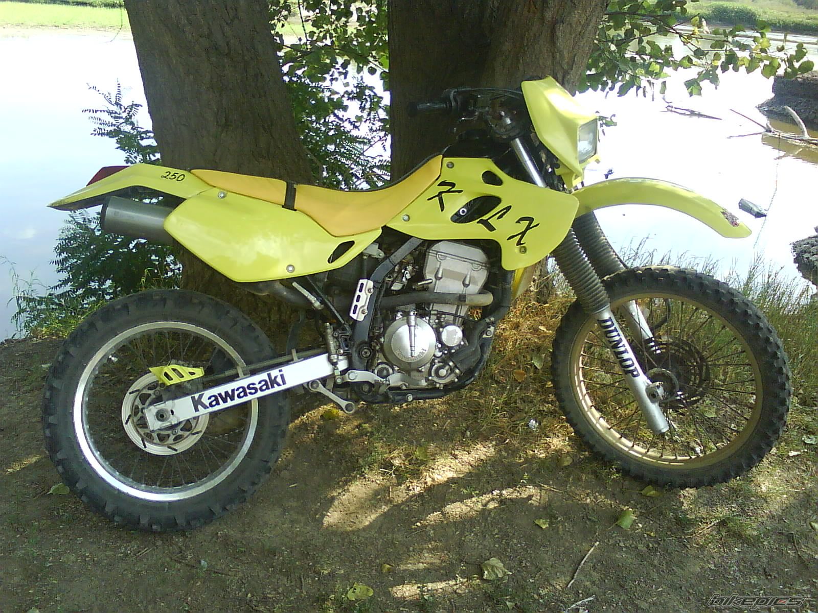 Photo 1407429