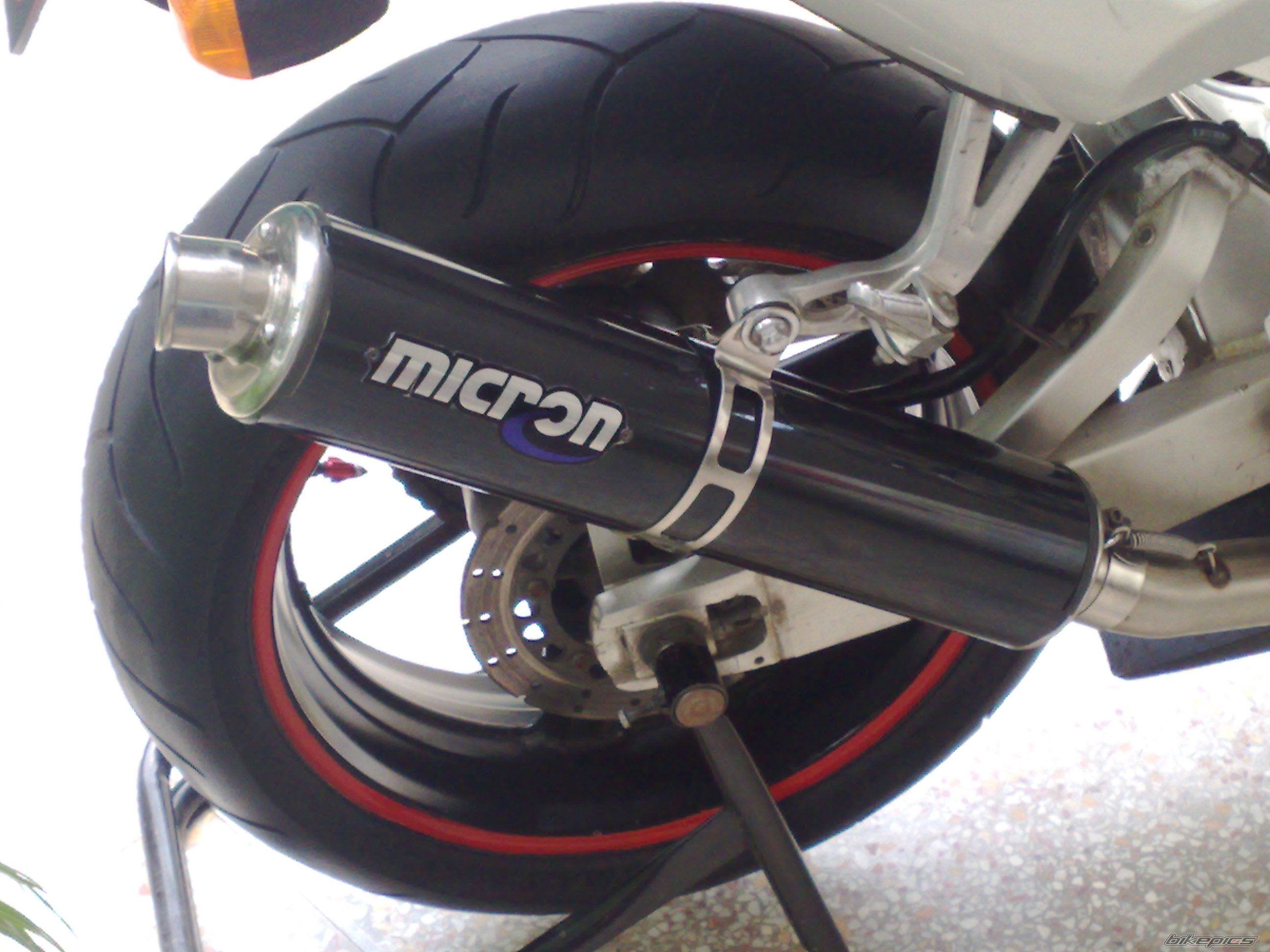 Photo 1407544