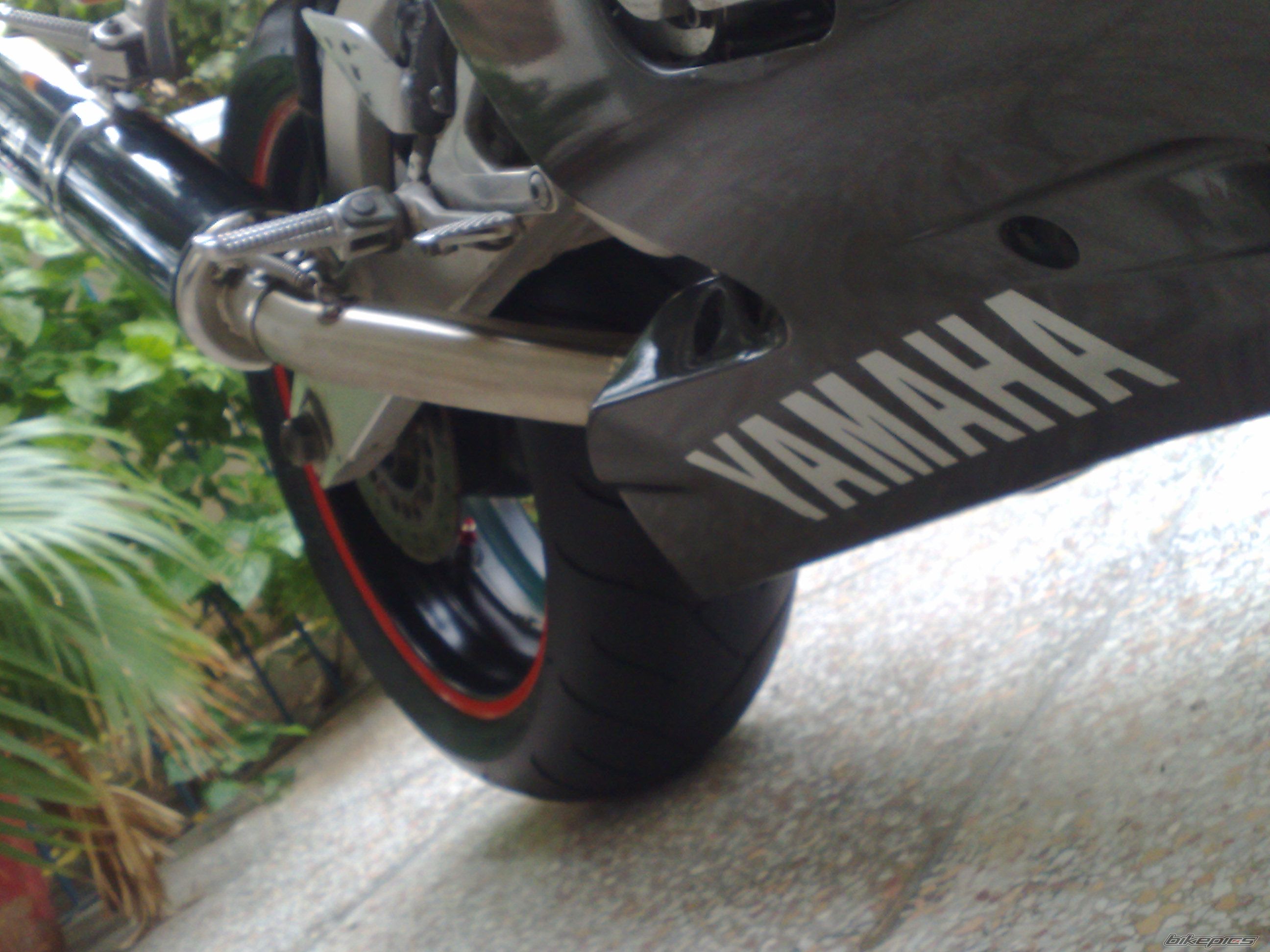 Photo 1407548