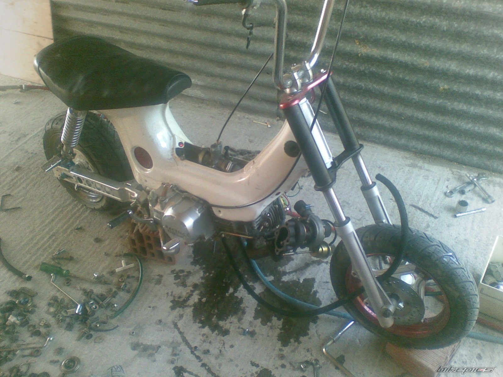 Photo 1407553
