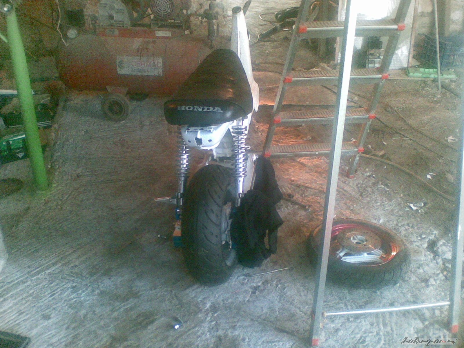 Photo 1407556