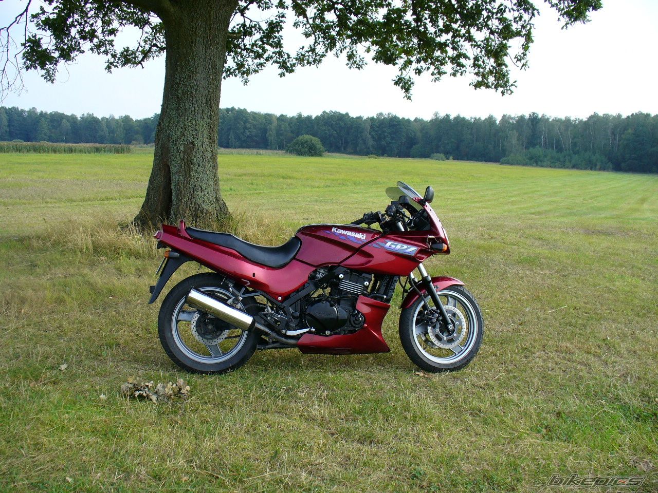 Bike Photo 1407644
