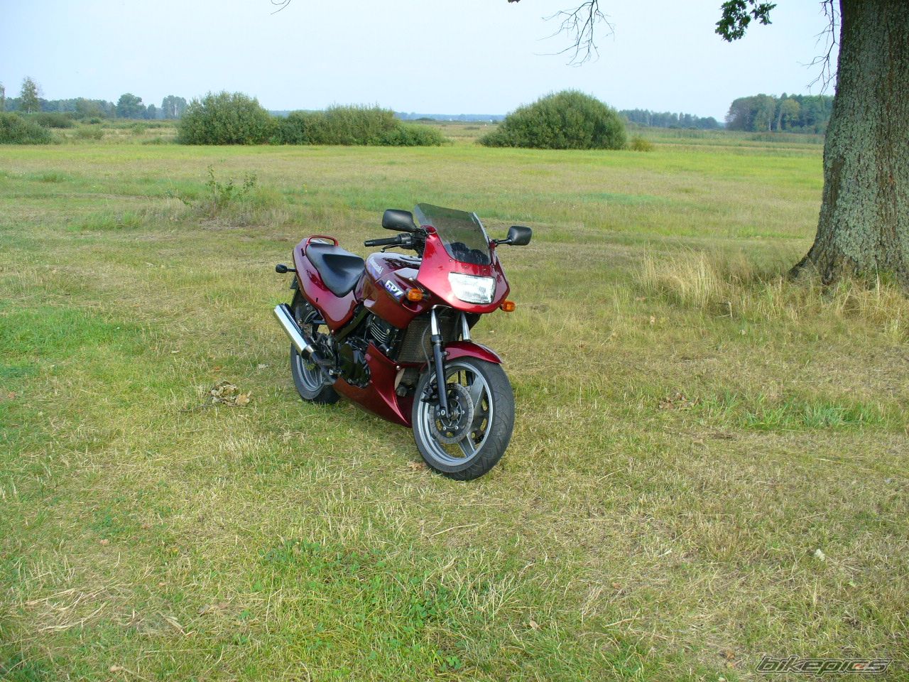 Bike Photo 1407649