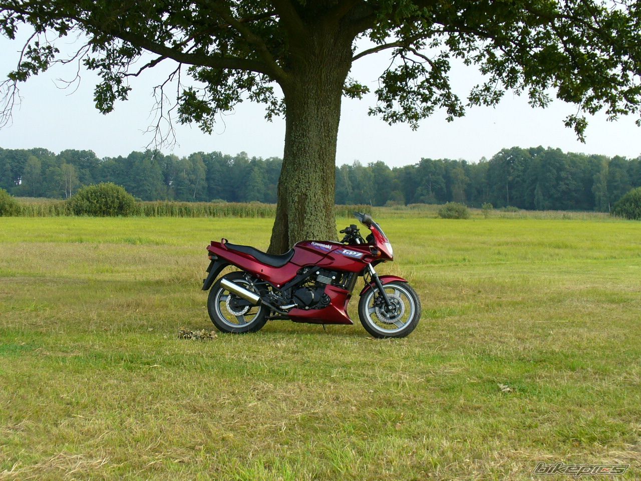 Bike Photo 1407651