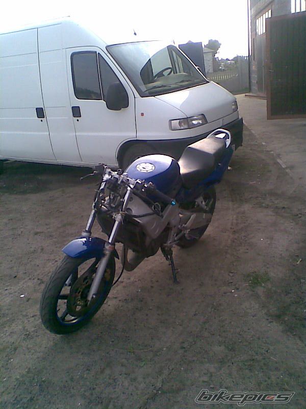 Photo 1407657