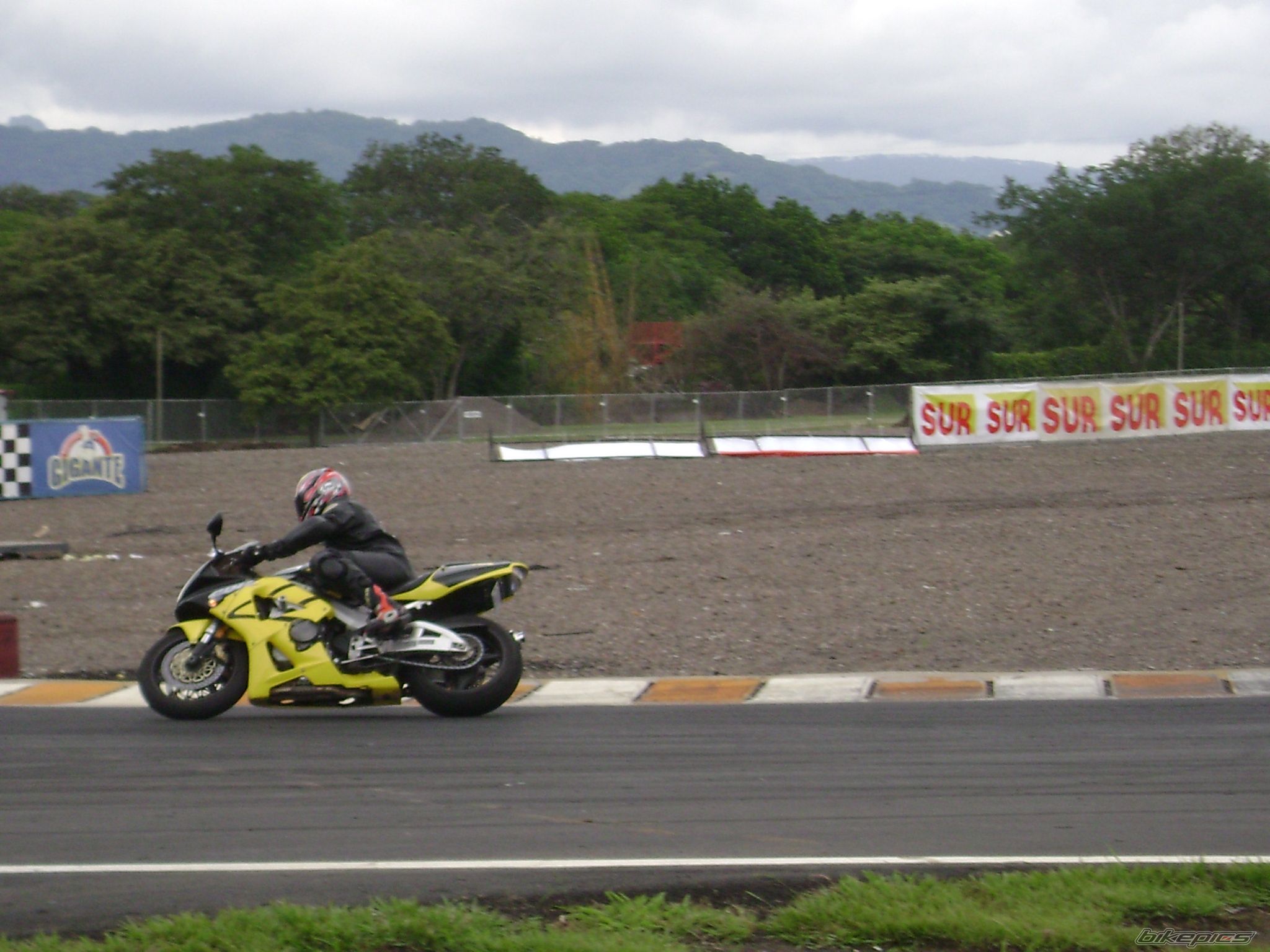 Photo 1407712