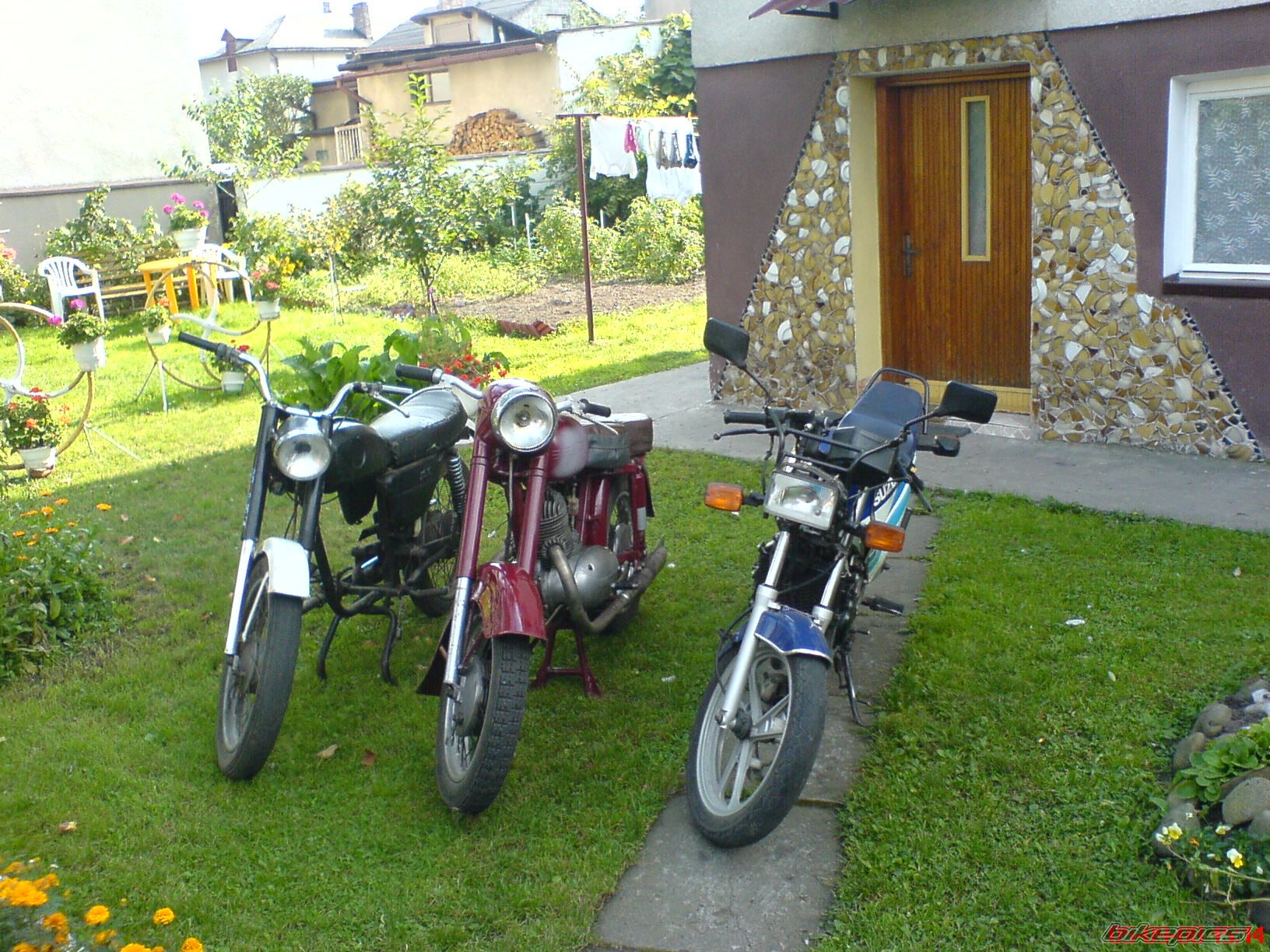 Photo 1407789