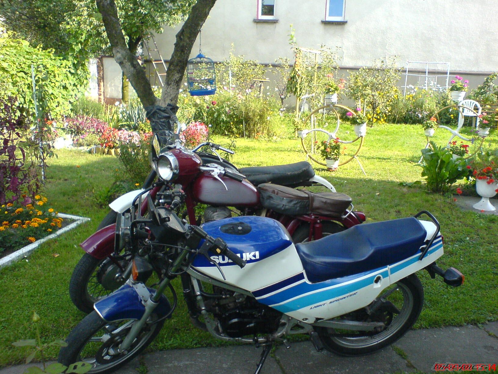 Photo 1407790