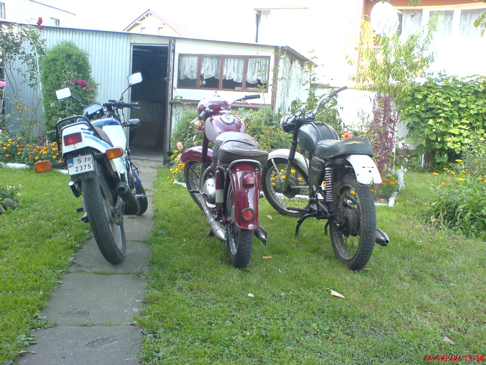 Photo 1407792
