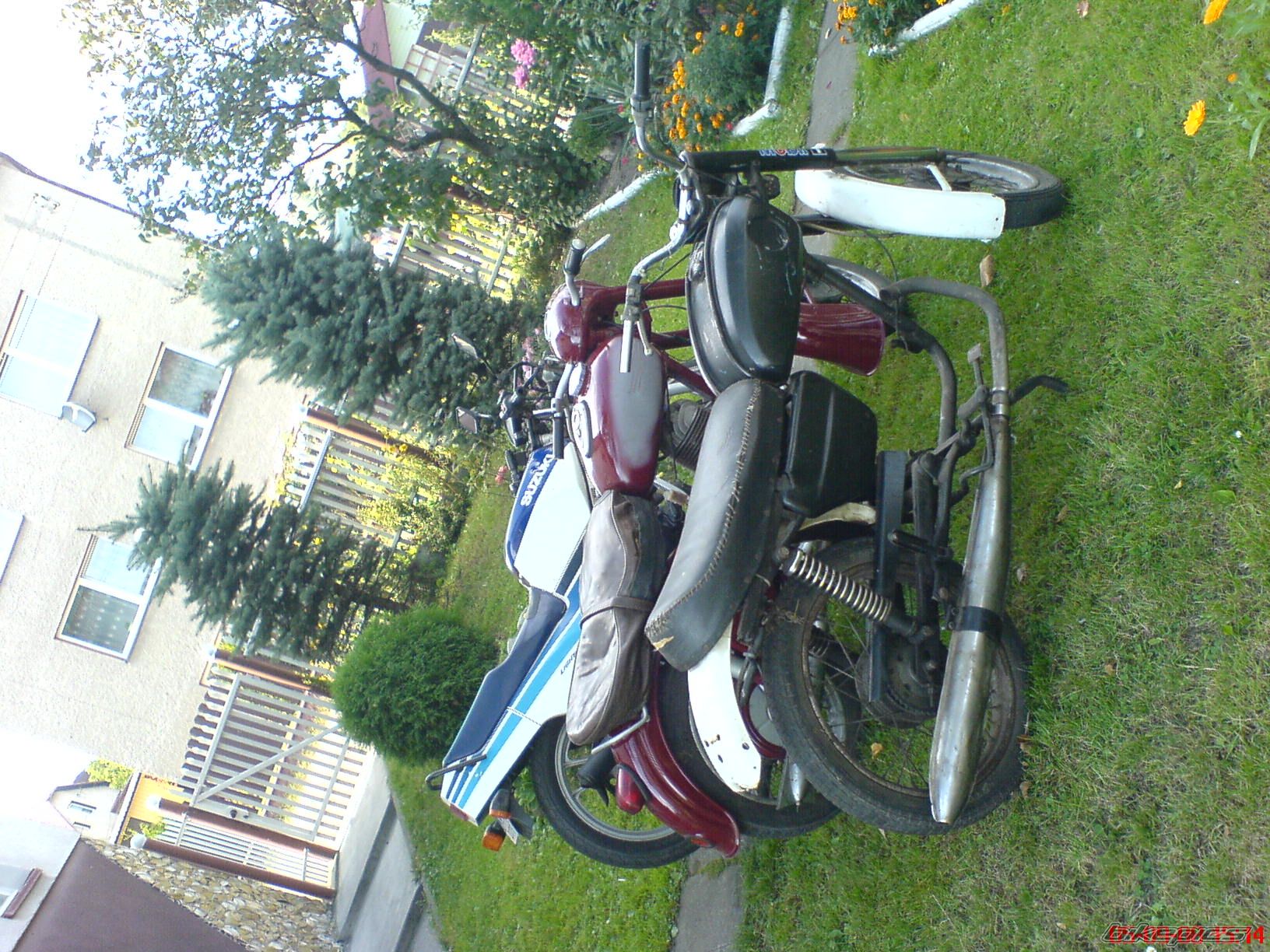 Photo 1407795