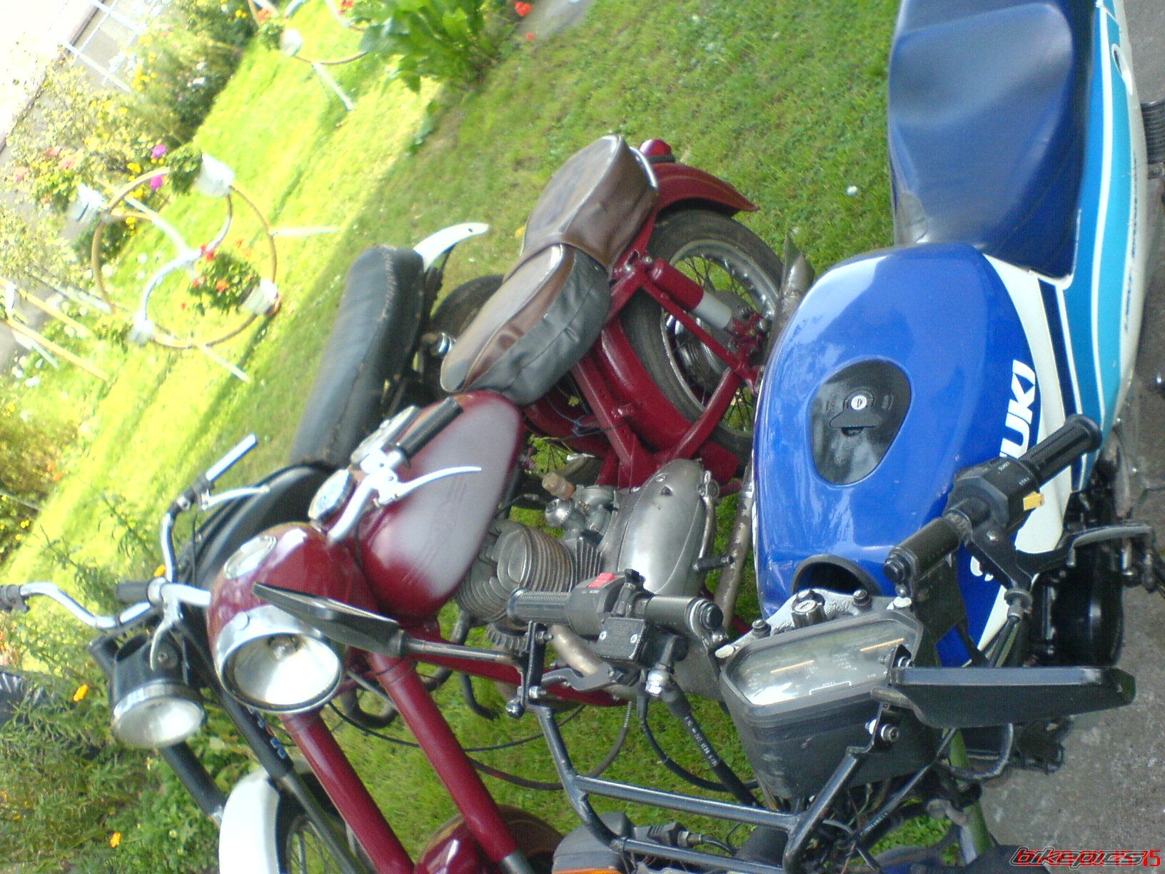 Photo 1407797