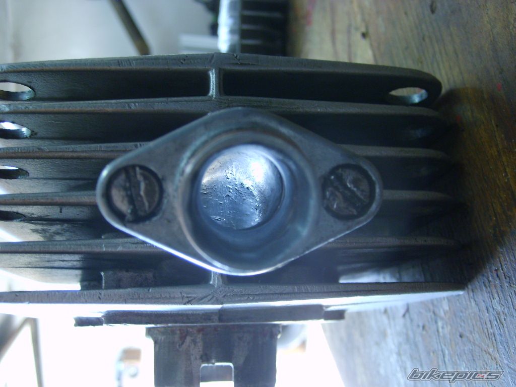 Photo 1407831