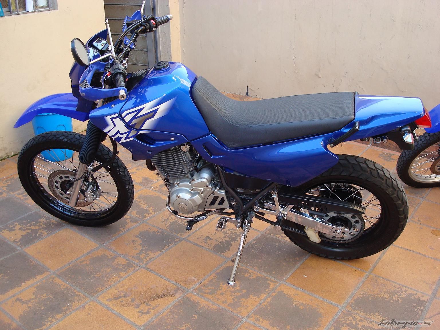 Photo 1407842