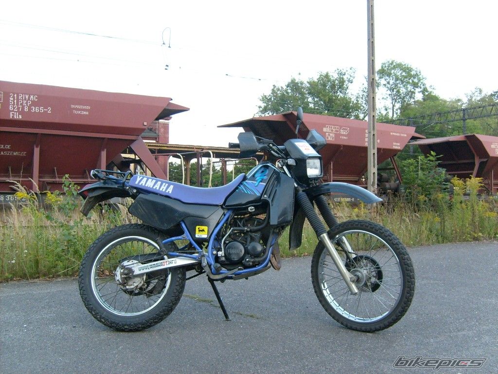 Photo 1407852