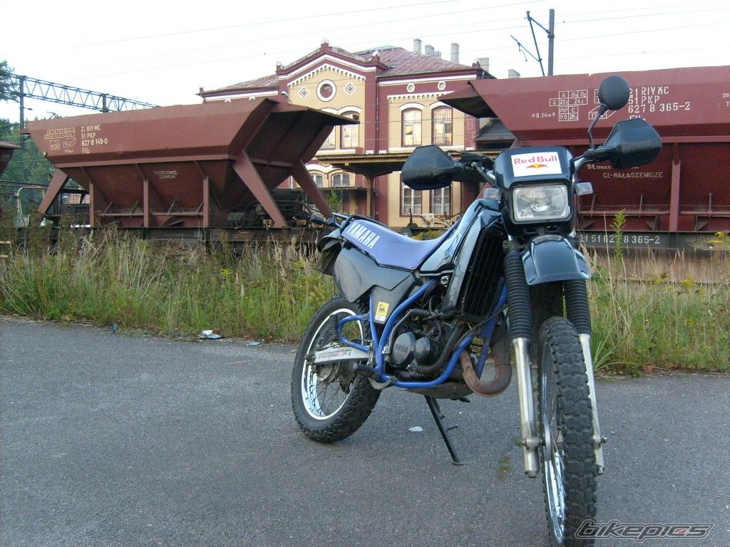 Photo 1407854